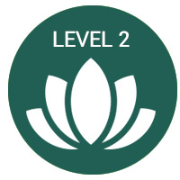 Reiki level 2 training