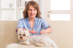 Reiki for Pets